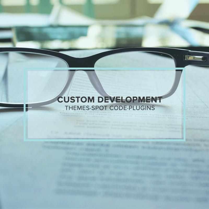 Custom Development