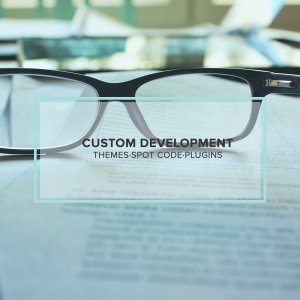 Custom Development